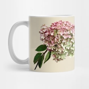 Hydrangeas - Sprig of Hydrangea Mug